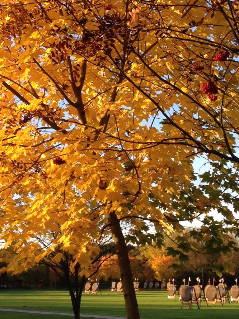 herbst_auf_dem_platz