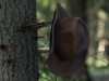 Outback_Nachlese_2015_-105