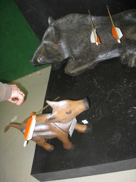 IMG_7819.jpg